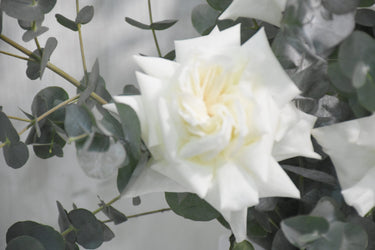 Ohara Rose Eucalyptus Ceramic Vase Arrangement